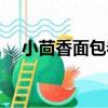 小茴香面包卷（關于小茴香面包卷簡介）