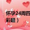 懷孕24周四維彩超評分6分（懷孕24周四維彩超）