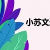小蘇文選（關于小蘇文選簡介）
