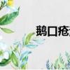 鵝口瘡治療方案（鵝口瘡治療）