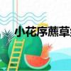 小花序藨草組（關于小花序藨草組簡介）