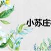 小蘇莊村（關于小蘇莊村簡介）