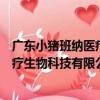 廣東小豬班納醫療生物科技有限公司（關于廣東小豬班納醫療生物科技有限公司介紹）
