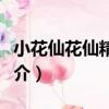 小花仙花仙精靈錄（關于小花仙花仙精靈錄簡介）