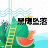 黑鷹墜落通關秘籍（黑鷹墜落秘籍）