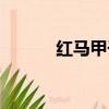 紅馬甲干什么的（紅馬甲軟件）