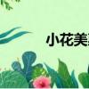 小花美惠（關于小花美惠簡介）