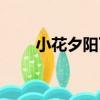 小花夕陽下（關于小花夕陽下簡介）