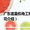 廣東富盈機電工程有限公司（關于廣東富盈機電工程有限公司介紹）