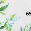 69993968（69993）