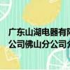 廣東山湖電器有限公司佛山分公司（關于廣東山湖電器有限公司佛山分公司介紹）