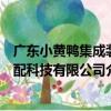 廣東小黃鴨集成裝配科技有限公司（關于廣東小黃鴨集成裝配科技有限公司介紹）
