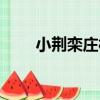 小荊欒莊村（關于小荊欒莊村簡介）