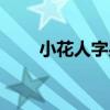 小花人字果（關于小花人字果簡介）
