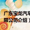 廣東寶龍汽車有限公司（關于廣東寶龍汽車有限公司介紹）
