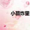 小茴炸里脊（關于小茴炸里脊簡介）