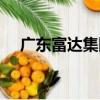 廣東富達集團（關于廣東富達集團介紹）