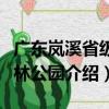 廣東嵐溪省級森林公園（關于廣東嵐溪省級森林公園介紹）