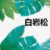 白巖松 車（白巖松評別車事件）