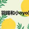 羽錫和小oyo到底是什么關系（羽錫和小yo）