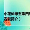 小花仙第五季四時花語-春夏（關于小花仙第五季四時花語-春夏簡介）