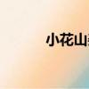 小花山姜（關于小花山姜簡介）
