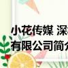 小花傳媒 深圳有限公司（關于小花傳媒 深圳有限公司簡介）