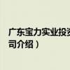 廣東寶力實業投資有限公司（關于廣東寶力實業投資有限公司介紹）