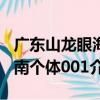 廣東山龍眼海南個體001（關于廣東山龍眼海南個體001介紹）