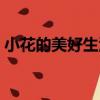 小花的美好生活（關于小花的美好生活簡介）