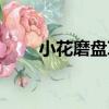 小花磨盤草（關于小花磨盤草簡介）