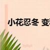 小花忍冬 變種（關于小花忍冬 變種簡介）