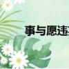 事與愿違英文翻譯（事與愿違英文）