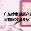 廣東嶺南健康產業集團有限公司（關于廣東嶺南健康產業集團有限公司介紹）