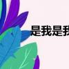 是我是我（關于是我是我的簡介）
