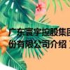 廣東寰宇控股集團股份有限公司（關于廣東寰宇控股集團股份有限公司介紹）