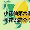小花仙第六季四季花語（關于小花仙第六季四季花語簡介）