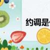 約調是什么體驗（約調是什么）