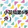 小花仙第6季 編的（關于小花仙第6季 編的簡介）