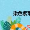 染色紫菜對人的危害（染色紫菜）
