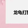龍龜打野出裝2022（龍龜打野）