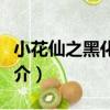 小花仙之黑化奇跡（關于小花仙之黑化奇跡簡介）