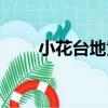 小花臺地黃（關于小花臺地黃簡介）
