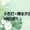 小蘇打+醋全方位掃除188招（關于小蘇打+醋全方位掃除188招簡介）