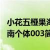 小花五椏果海南個體003（關于小花五椏果海南個體003簡介）