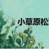 小草原松雞（關于小草原松雞簡介）