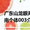 廣東山龍眼海南個體003（關于廣東山龍眼海南個體003介紹）
