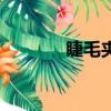 睫毛夾怎么用圖解（睫毛夾）