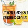 廣東寶力實業發展集團有限公司（關于廣東寶力實業發展集團有限公司介紹）