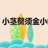 小莖贅須金小蜂（關于小莖贅須金小蜂簡介）